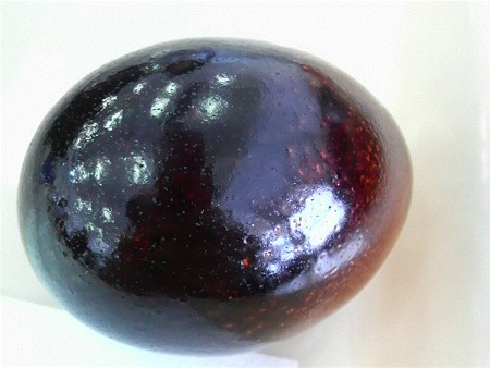 P1000005