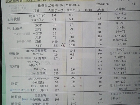 P1001399