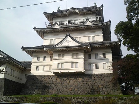 P1001589