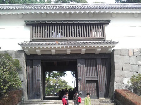 P1001598