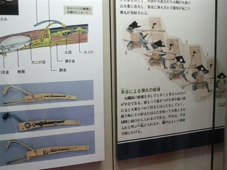 P1001428
