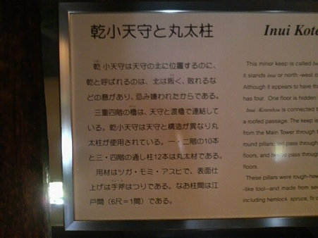 P1001419