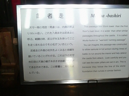 P1001424