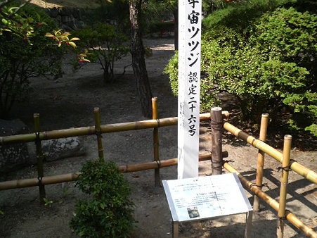 P1001411