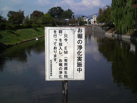 P1001444