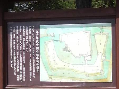 P1001409