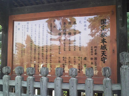P1001410