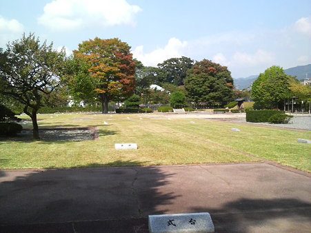 P1001442